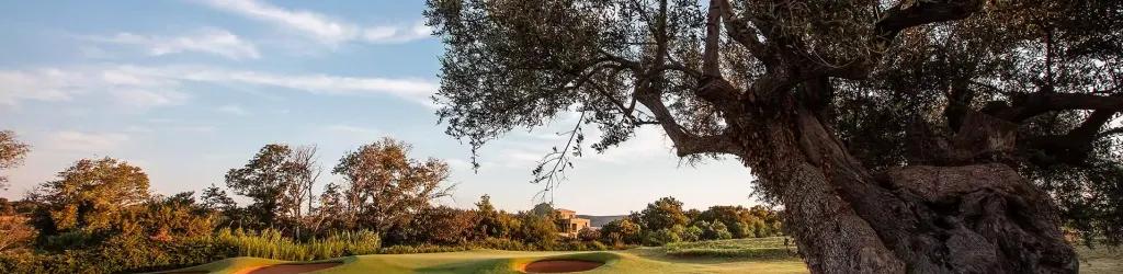 Costa Navarino Golf - The Dunes Course cover image