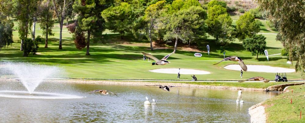 Golf course - Atalaya Golf & Country Club - New Course