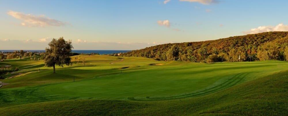 Golf course - Higuerón Marbella Golf Resort