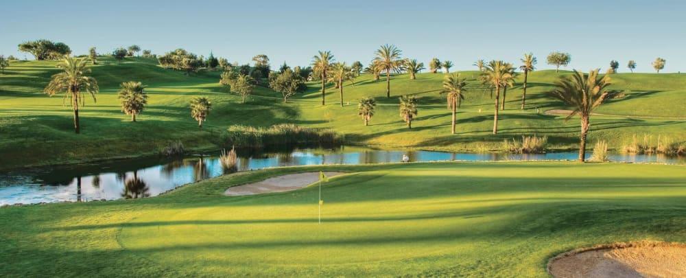 Golf course - Pestana - Gramacho